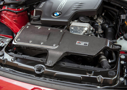 AWE Tuning BMW 228i/320i/328i/428i S-FLO Carbon Intake 2660-13034 2660-13034 Photo - Mounted