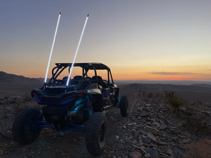 Whip It 3Ft Blk Bt Rgb Chase Set SB-CHSBTR-132 SB-CHSBTR-132 User 1