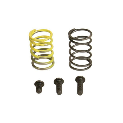 Industrial Injection 94-98 Dodge 12V AFC Spring Kit 232708 232708 Photo - Primary