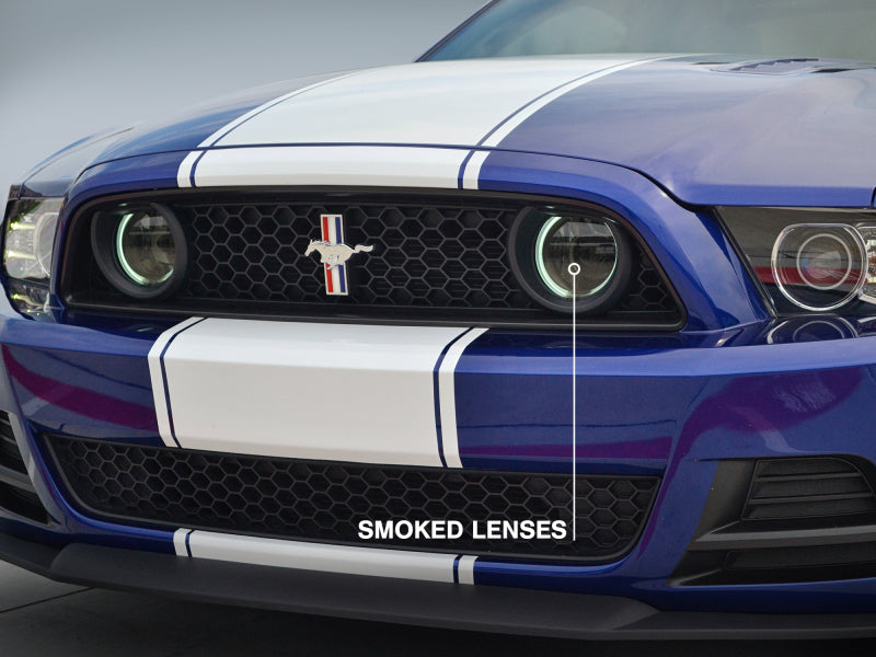 Raxiom 13-14 Ford Mustang GT CCFL Halo Fog Lights (Smoked) 49177 49177 Photo - Close Up