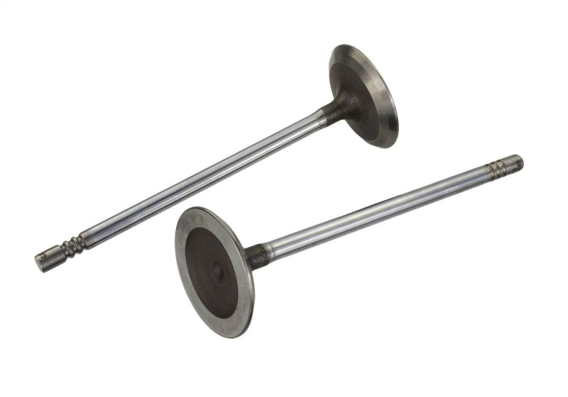 Ford Racing Coyote 5.2L Lightweight Intake Valve - Set of 8 M-6507-M52 M-6507-M52 Photo - Unmounted