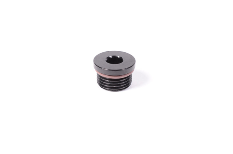 Radium Engineering 12AN ORB Plug 14-0688 14-0688 Photo - Primary