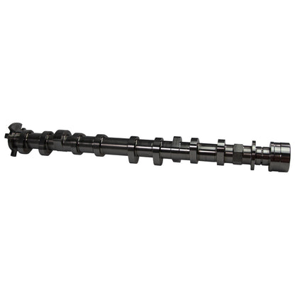 COMP Cams Camshaft Set 2018+ Ford Coyote 5.0L STG1 NST Thumper 433700CPG 433700CPG User 3