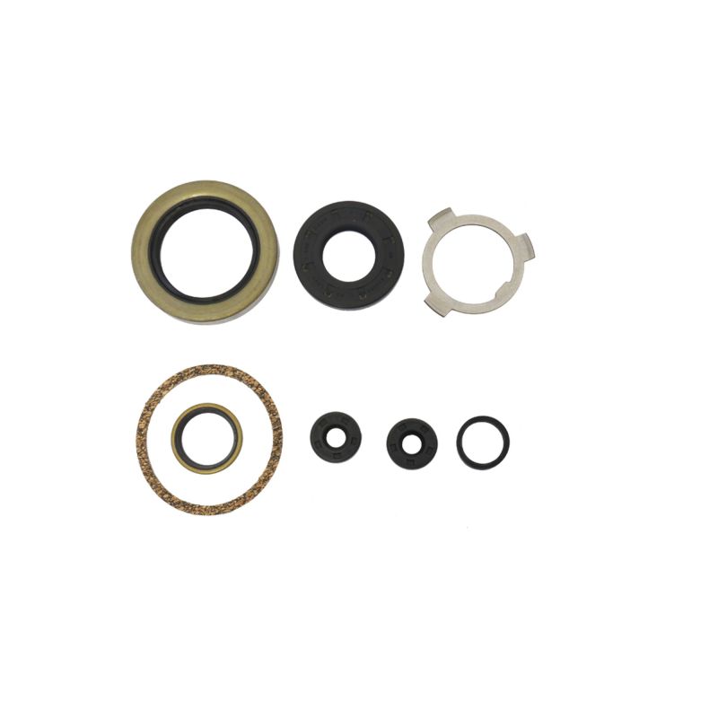 Athena Harley-Davidson 74in & 80 Engine Oil Seal Kit P400195370896 P400195370896 Photo - Primary