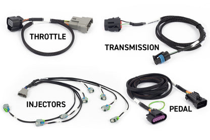 Haltech NEXUS Rebel LS Kit (Suits Gen IV) 6-Pin DBW Throttle/EV6 Injectors/Manual Transmission HT-220204 HT-220204 User 1