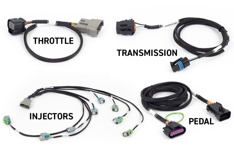 Haltech NEXUS Rebel LS Kit (Suits Gen IV) 6-Pin DBW Throttle/EV6 Injectors/Manual Transmission HT-220204 HT-220204 User 1