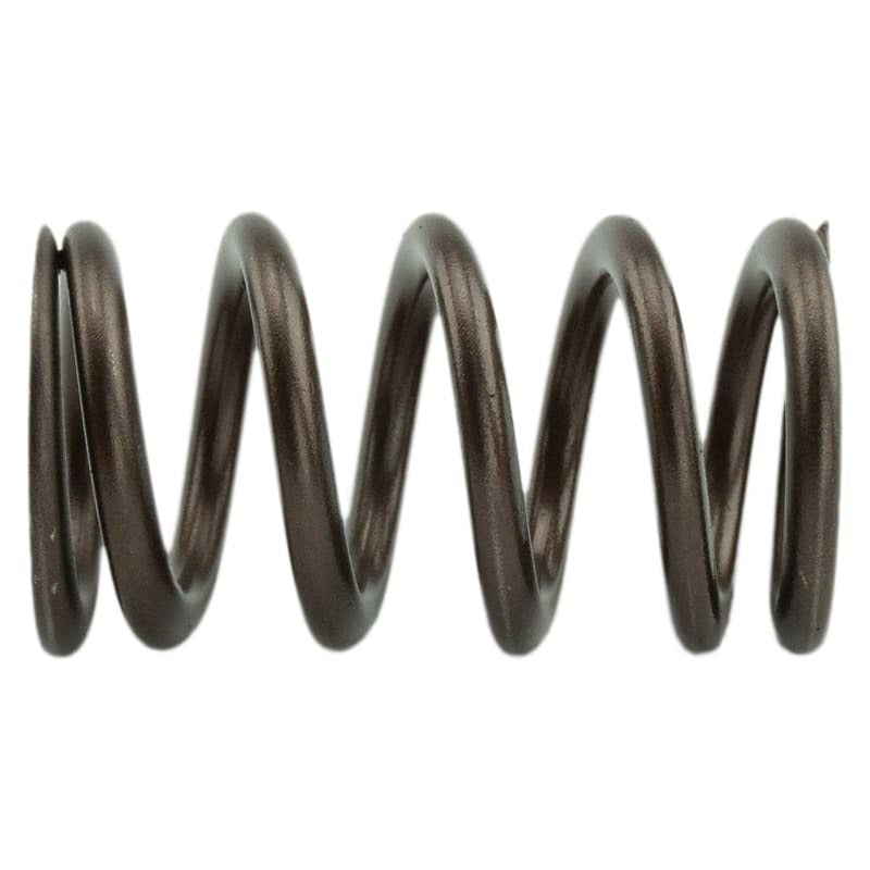 Industrial Injection 110 LBS Single Valve Spring Set PDM-160-1484S-24 PDM-160-1484S-24 User 1