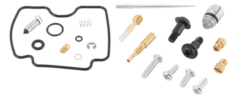 QuadBoss Qboss Carburetor Kit 420534 420534 Photo - Primary