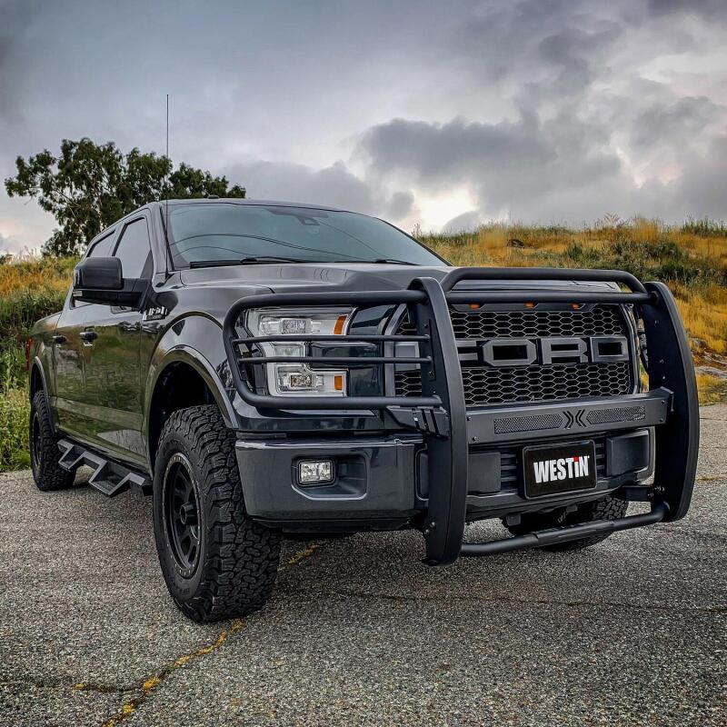 Westin 15-20 Ford F150 Sportsman X Grille Guard - Textured Black 40-33835 40-33835 Photo - Mounted