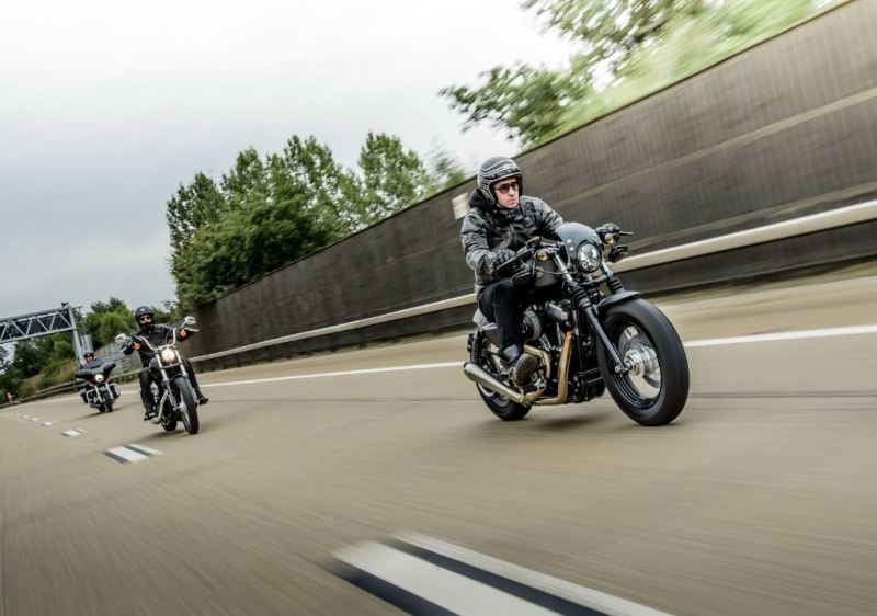 Ohlins 04-20 Harley-Davidson Sportster XL STX 36 Twin Shock Absorber HD 144 HD 144 User 1