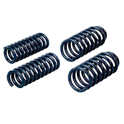 Hotchkis 05-07 Dodge Charger Sport Coil Springs 19104 19104 Photo - Primary