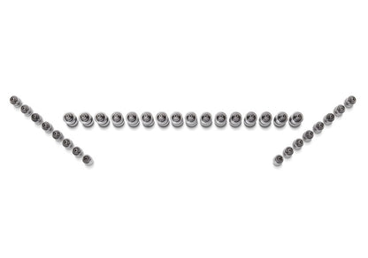 Ford Performance Parts Ford Racing Ford GT and Mustang SVT 5.4L Lash AdjusterS M-6500-GT Photo - Unmounted
