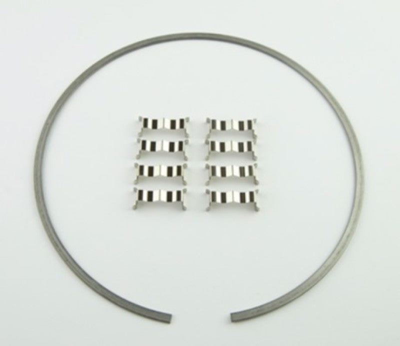 Wilwood Kit Snap Ring (1) and Wear Plates (8) Dynamic Drag Rotor 300-12561 300-12561 User 1