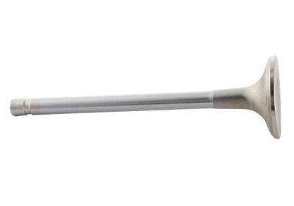 Ford Performance Parts Ford Racing Exhaust Valve 302/351W M-6505-B304 Photo - Unmounted