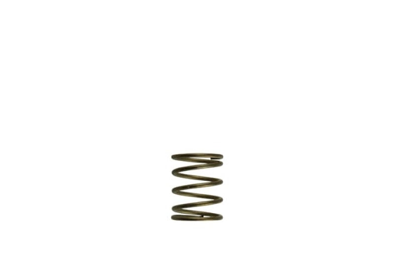 Turbosmart Gen-V WG45/50 3psi Orange Inner Spring TS-0550-3085 TS-0550-3085 Photo - Primary