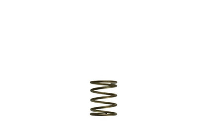 Turbosmart Gen-V WG45/50 3psi Orange Inner Spring TS-0550-3085 TS-0550-3085 Photo - Primary