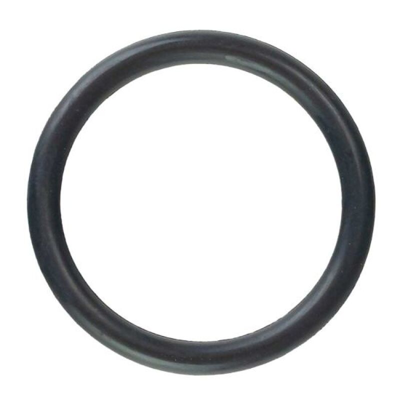 Moroso MOR O-Rings Fabrication O-Rings main image
