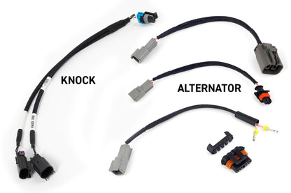 Haltech NEXUS Rebel LS Kit (Suits Gen III) Cable Throttle/EV1 Injectors/Manual Transmission HT-220201 HT-220201 User 1