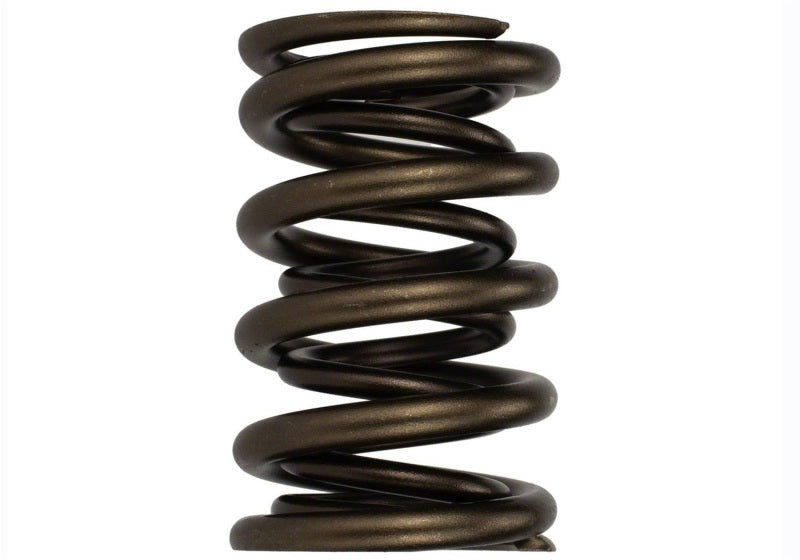 Ford Racing  Replacement Hydraulic Roller Valve Spring - Single (For M-6049-SCJA) M-6513-17341 M-6513-17341 Photo - Primary
