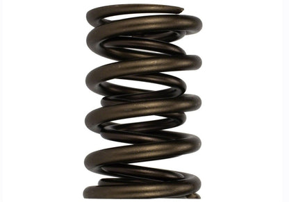 Ford Racing  Replacement Hydraulic Roller Valve Spring - Single (For M-6049-SCJA) M-6513-17341 M-6513-17341 Photo - Primary
