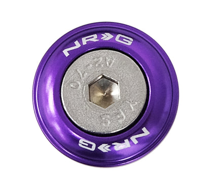 NRG Fender Washer Kit, Set of 10, Purple, Rivets for Plastic FW-100PP Photo - Primary