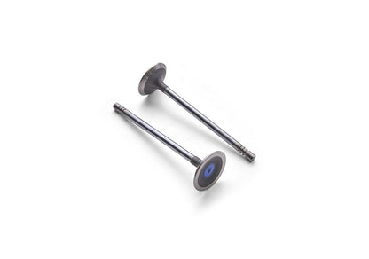 Ford Racing Coyote 5.2L Lightweight Exhaust Valve - Set of 8 M-6505-M52 M-6505-M52 Photo - Unmounted