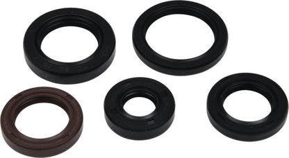 Vertex Pistons Vertex Gaskets 05-23 Polaris Phoenix 200 Oil Seal Kit 822394 822394 Photo - Primary