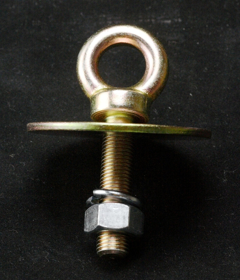 Racequip 7/16-20 Long Eyebolt, Nut & Washer 700060 Photo - Primary