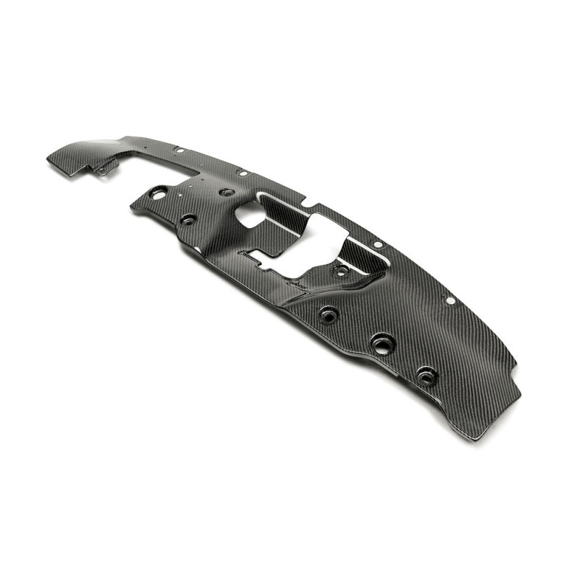 Seibon 2017-2018 Honda Civic Type-R FK8 Carbon Fiber Cooling Plate CP17HDCVR CP17HDCVR Photo - Primary