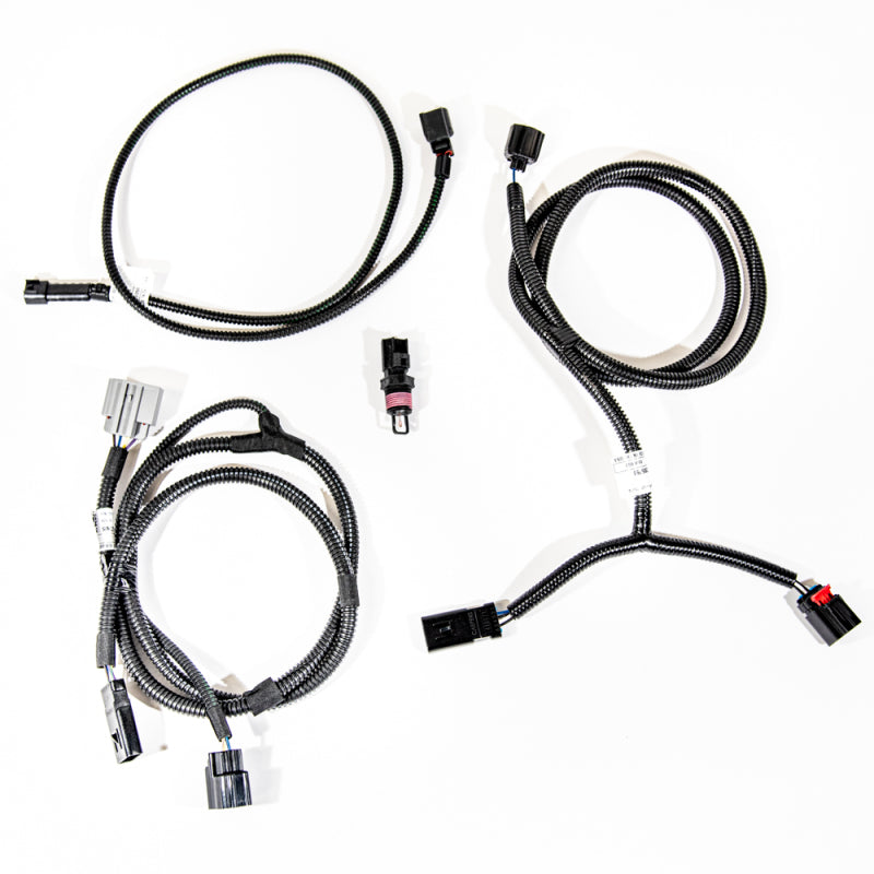 VMP Performance 11-14 Coyote 5.0L SC PnP Harness Kit (MAF IAT) VMP-SUP067-I VMP-SUP067-I Photo - Primary