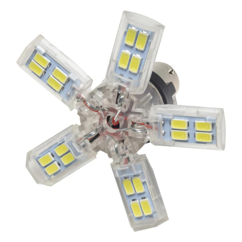 ORACLE Lighting Oracle 1156 15 SMD 3 Chip Spider Bulb (Single) - Cool White 5106-001 5106-001 Photo - Primary