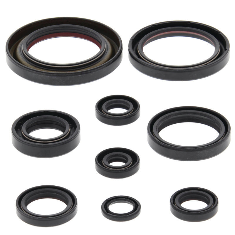 QuadBoss Qb Oil Seal Set 564171 564171 Photo - Primary