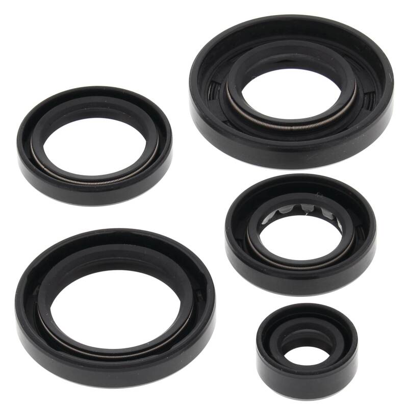 Vertex Pistons Vertex Gaskets 07-11 Arctic Cat 650 4x4 H1 Oil Seal Kit 822343 822343 Photo - Primary