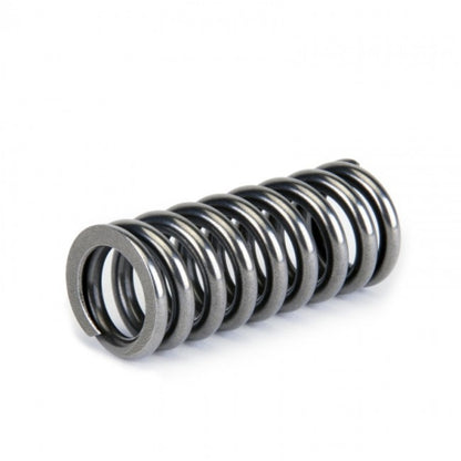 Skunk2 Alpha Series Valve Spring Set Honda SOHC D-Series VTEC 311-05-1345 Photo - Unmounted