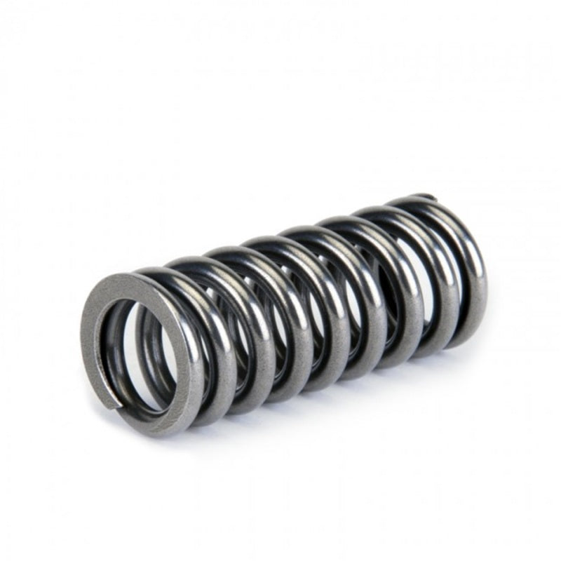 Skunk2 Alpha Series Valve Spring Set Honda SOHC D-Series VTEC 311-05-1345 Photo - Unmounted