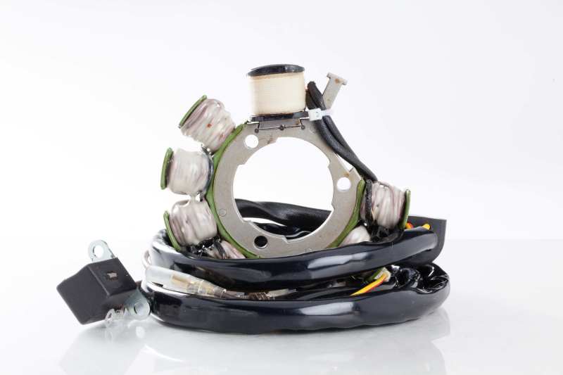 Ricks Motorsport Electrics Ricks Motorsport StatorPolaris 21-554 21-554 User 1