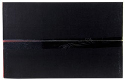 AEM Induction AEM C.A.S. 06-13 Lexus IS250 V6-2.5L F/I Cold Air Intake System 21-833C 21-833C Photo - in package