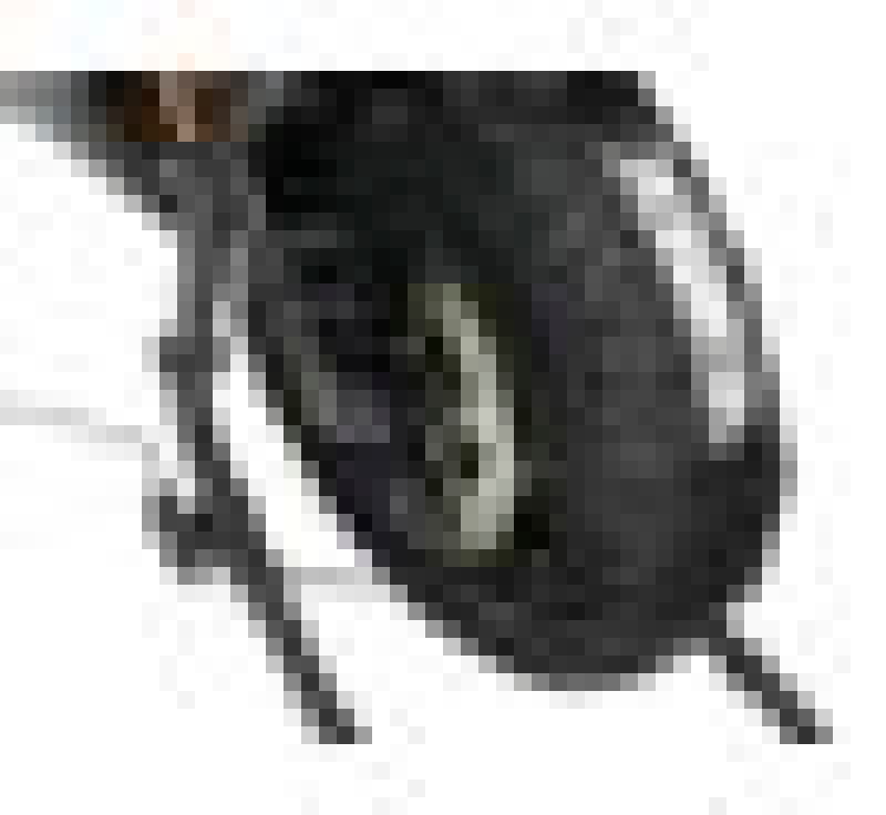 Vortex Racing Tire Warmers 140-165 Rear/Frt TW102 TW102 User 1