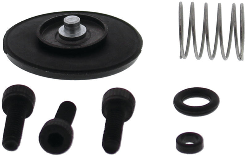 QuadBoss Qboss Accelerator Pump Kit 420593 420593 Photo - Primary