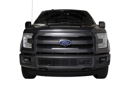 Putco 2015-2017, Ford F150 - Stainless Steel Black Bar Design 87160 Photo - Mounted