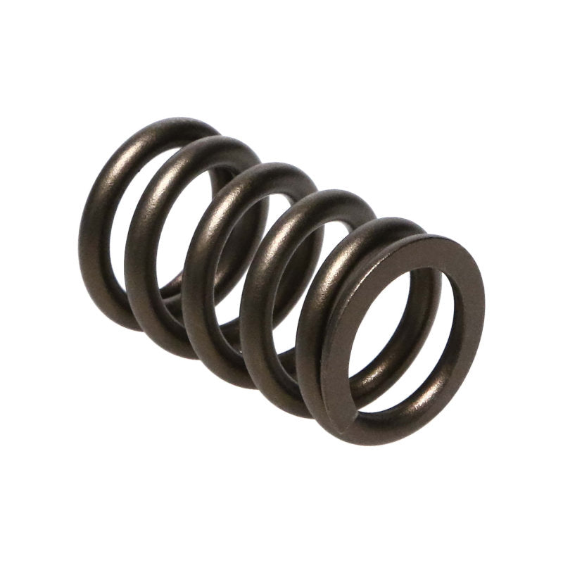 Manley Nissan (RB26DET) 24pc Valve Springs 22175-24 22175-24 Photo - Primary