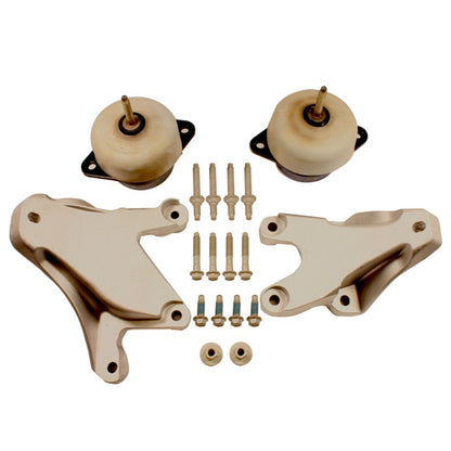 Ford Performance Parts Ford Racing 2011-2015 Mustang GT 5.0L Coyote Engine Swap Mounts M-6038-M50 Photo - Primary