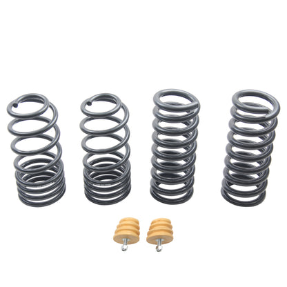 ST Sport-tech Lowering Springs Ford Mustang 3rd gen. / 4th gen. 60090 60090 Photo - Primary