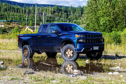 Belltech 19-20 Chevrolet Silverado / GMC Sierra 1500 4WD 4in Suspension Lift Kit w/ Shocks 150212TP 150212TP User 3