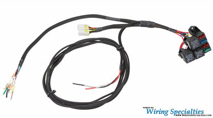 Wiring Specialties K24 PRO Series Universal Standalone RWD Harness WRS-PROK20K24-UNI