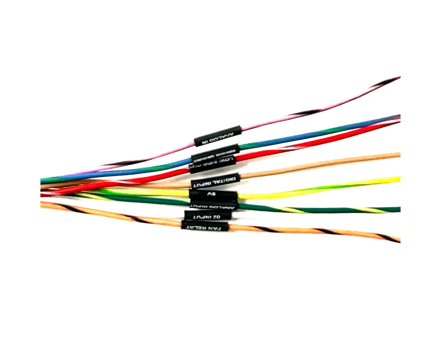 Wiring Specialties RB26DETT PRO Series Harness for R32 Skyline GTR – WRS-PRORB26-R32GTR-ELITE2500