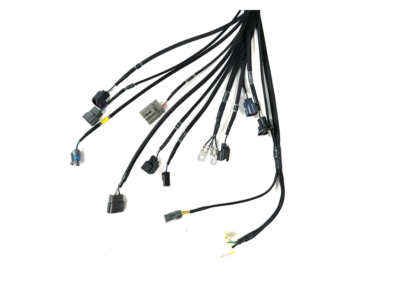 Wiring Specialties RB26DETT PRO Series Harness for R32 Skyline GTR – WRS-PRORB26-R32GTR-ELITE2500