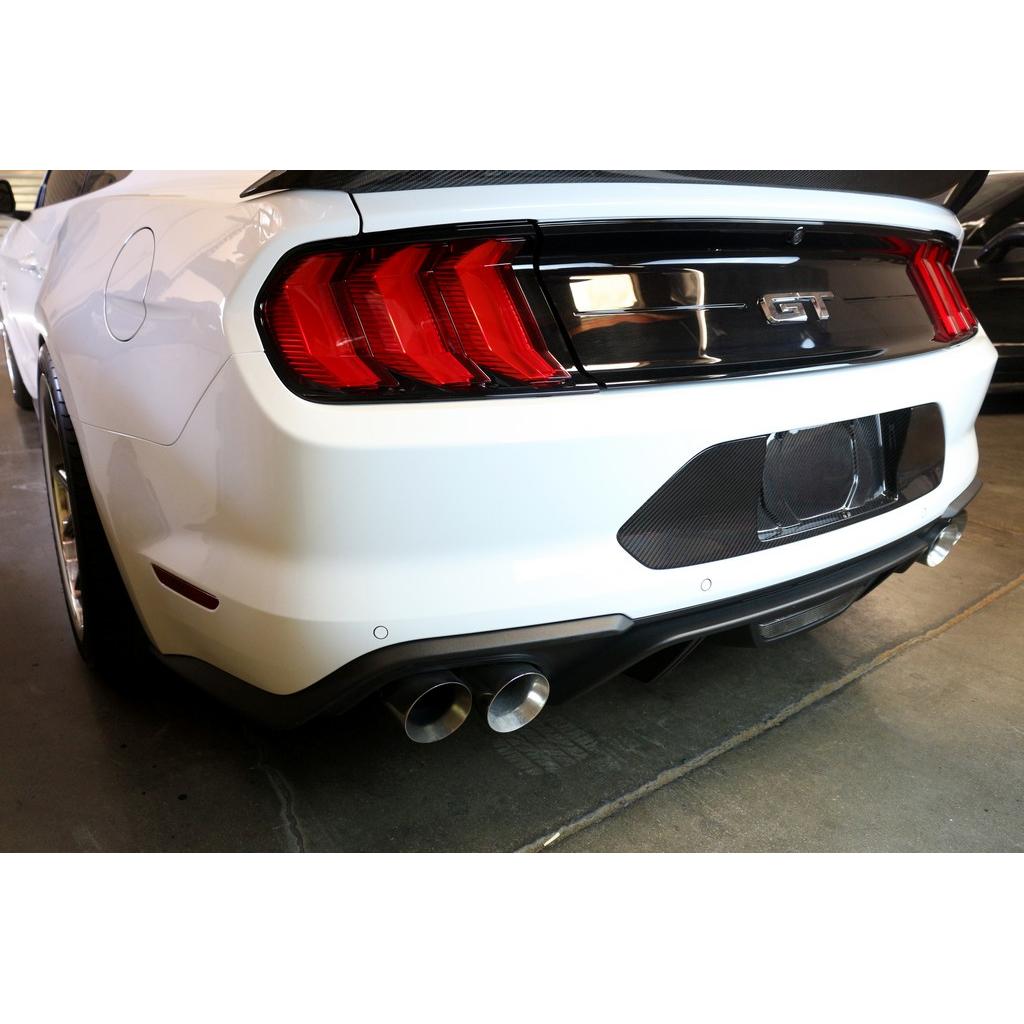 APR Carbon Fiber Ford Mustang License Plate Backing 2018-2023