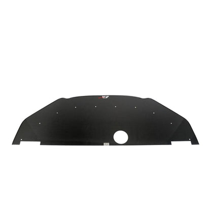 APR Hyundai Veloster N Carbon Fiber Front Wind Splitter 2019-2022