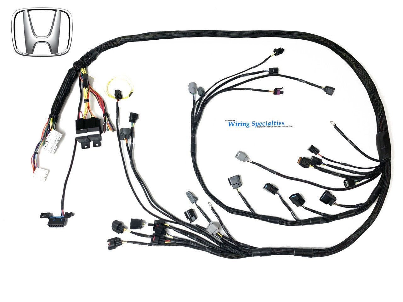 Wiring Specialties SR20DET PRO Series Harness for LHD USDM Z34 370Z - WRS-PROK20K24-370Z